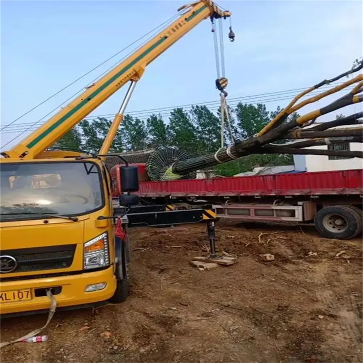 马湾镇100吨吊车租赁费用怎么算？3大关键因素+省钱技巧全解析